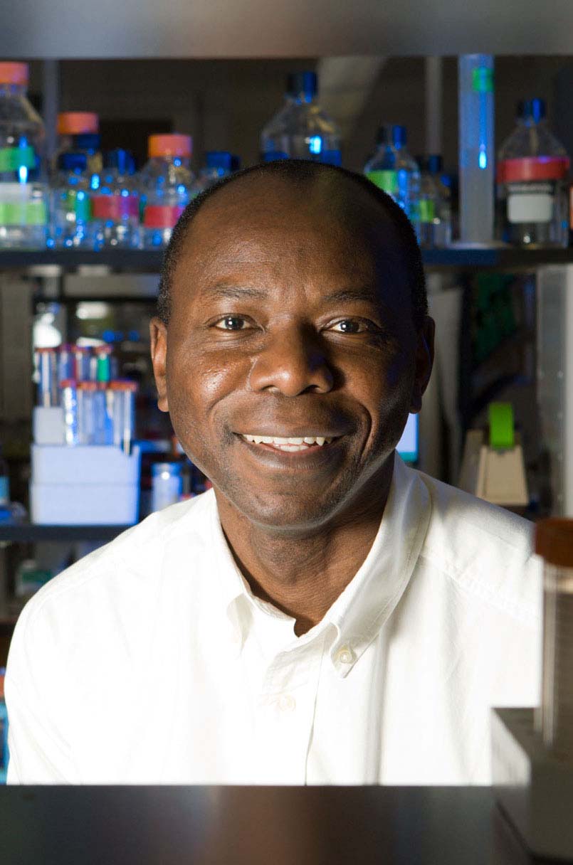 Renowned cellular biology researcher named dean for College of Science